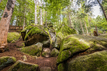 Megalith Steine im Höllbachtal im Naturschutzgebiet bei dem Rundwanderweg in Rettenbach bei Falkenstein in Bayern, Deutschland