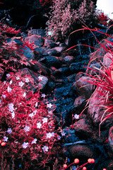 Colorful flowers and a serene stream create a peaceful scene in Denmark's natural landscape