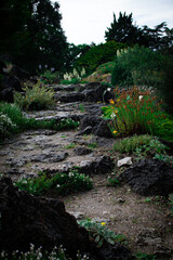 Exploring the rocky garden path in Denmark filled with diverse plants and greenery