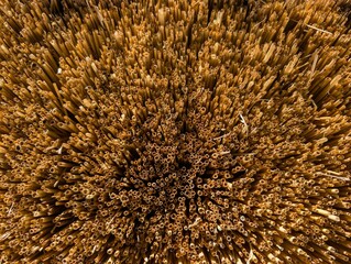 Close Up of Golden Hay Bales in Countryside Field