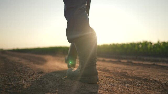Farmer walking soil road sunset. Boots man step across dirt field. Walking along dusty farm path. Boots hit dirt gently. Man moves forward, soil under boots farmer steady walking field lines horizon.