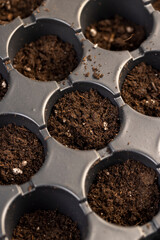 container filled with fertile soil with a large number of round holes for seedlings, a plastic tray for growing a large number of seedlings of agricultural or other plants filled with soil