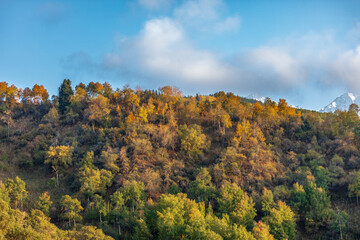 Fototapeta premium autumn landscape in the mountains