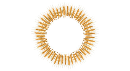 Fototapeta premium A circular arrangement of golden wheat stalks forms an elegant halo or sunburst design on a white background.