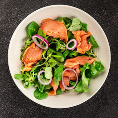 Salmon Salad appetizer seafood fresh fish second course portion size natural product tasty snack fresh delicious gourmet food background on the table rustic top view copy space pescetarian diet