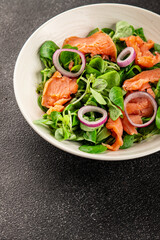 Salmon Salad appetizer seafood fresh fish second course portion size natural product tasty snack fresh delicious gourmet food background on the table rustic top view copy space pescetarian diet
