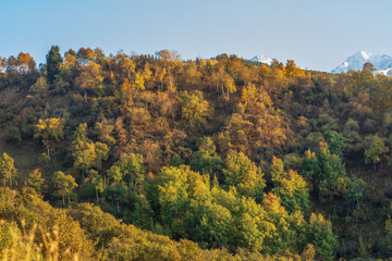 Fototapeta premium autumn landscape in the mountains