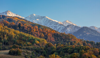 autumn in the mountains © KAIRZHAN