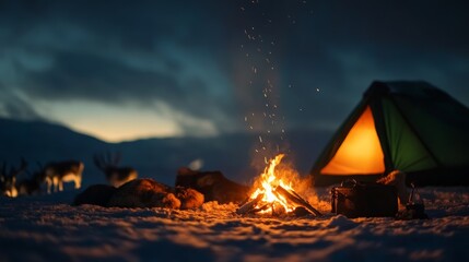 Campfire adventure snowy landscape outdoor photography winter camping night view cozy atmosphere