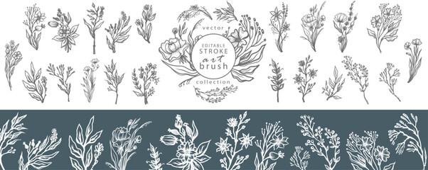 Floral Line Strokes, Editable Vector Art Brushes Collection