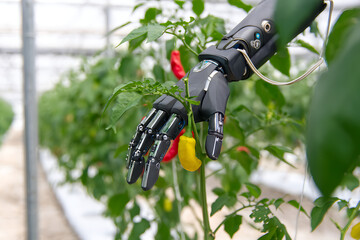 modern garden concept