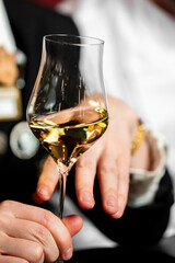 Close-up of a person holding a glass of white wine at a formal event. Elegant stemware, soft lighting, and subtle hand gestures suggest a refined social atmosphere.