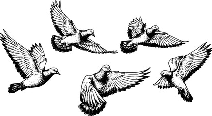Sketched set of Pigeon flying sketch silhouette black
