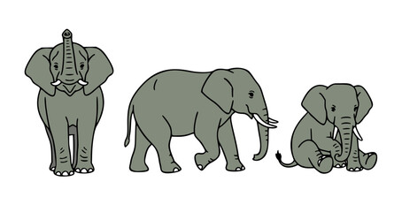 elephant vector illustration