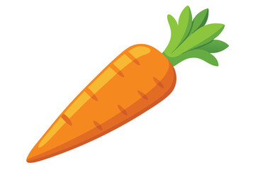 Bright orange carrot with fresh green leaves sits against the plain white backdrop
