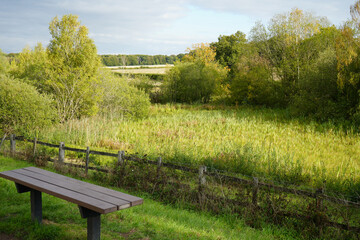 Tranquil Countryside Scene with Bench at Clumber Park, Nottinghamshire, England