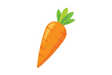 Single vibrant orange carrot with short green leaves sits on white background