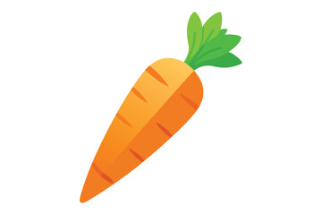 Single orange carrot with green leaves is placed on a white background