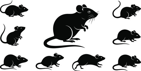 Rodent silhouette collection, black rat shapes, mouse poses illustration, animal behavior concept, issittingRodent silh
