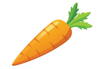 Bright orange carrot with green leaves is shown on a white background
