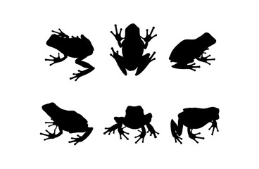 Set of black vector frog silhouettes isolated on white background. Collection of poisonous amphibians with slender long legs in various poses, shown in front, back, side, and top views