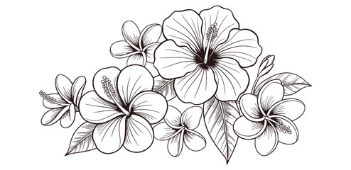 Detailed black and white line drawing of tropical flowers and leaves hibiscus plumeria © Mehedy