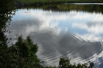 Tranquil Lake Scene with Ripples and Ducks at Clumber Park, Nottinghamshire, England: A Peaceful Countryside Landscape