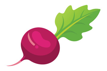 Single cartoon radish displays vibrant pink bulb and single bright green leaf