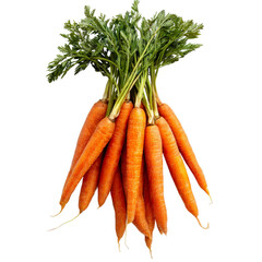 A vibrant bunch of fresh, organic carrots with green leafy tops, isolated on a clean white background