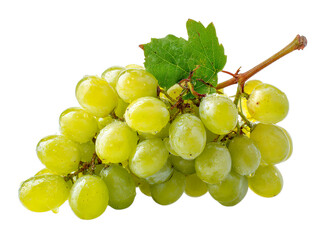 A close-up of a fresh bunch of green grapes isolated on a white background