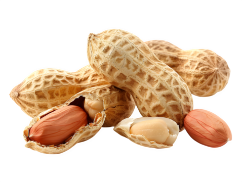 Premium quality visual of close-up of several peanuts isolated , natural diagonal arrangement with one shell cracked open to reveal the nuts insi Isolated to Transparent Background