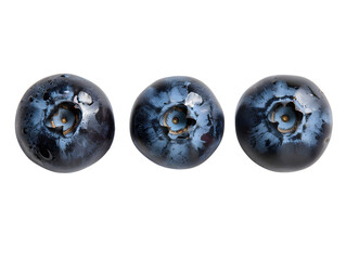 High resolution stock photo showing highly detailed close-up of three fresh blueberries arranged horizontally, isolated on , large plump berries Isolated to Transparent Background
