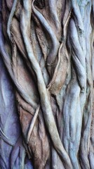 Obraz premium Intertwined Roots: A detailed macro view of a tree's exposed roots, showcasing a tapestry of natural forms, textures, and colors, illustrating the intricate bond between nature and earth.