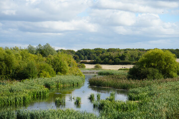 Serene River Landscape with Wooden Bridge at Clumber Park, Nottinghamshire, England: A Tranquil Countryside Scene