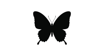A strikingly simple black butterfly shape against a bright white background silhouette