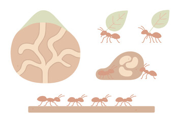 Ant Colony Cross-section. Isometric vector illustration set ant colony tunnel teamwork: cross-section ant hill, ants carrying