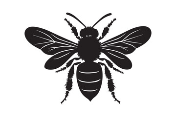 Detailed silhouette of a honey bee with intricate wing patterns