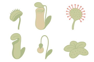 Carnivorous Plant Icons. Isometric vector illustration set Carnivorous plant species: Venus flytrap closed trap, pitcher plant