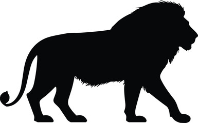 Black silhouette icon of walking male lion with prominent mane and curved tail for wildlife, nature, strength, or logo design