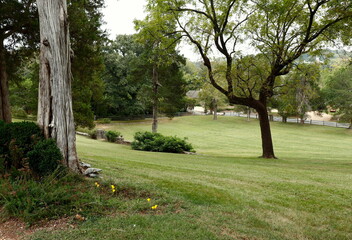 Trees and Sloping Lawn at Public Park