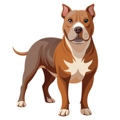 Illustration of a brown and gray pitbull dog breed standing attentively vector art design asset