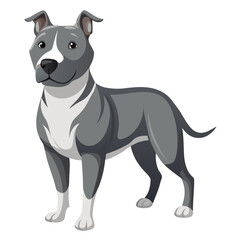 Illustration of a gray pitbull dog breed standing profile view domestic animal pet canine drawing vector