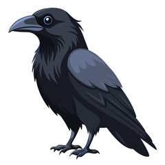Fototapeta premium Illustration of a black crow standing side view vector image of raven bird wildlife animal drawing art