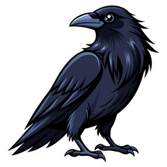 Fototapeta premium Cartoon illustration of a raven black bird drawing vector graphic crow illustration design art 90