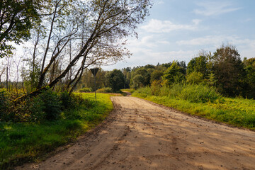 Peaceful rural landscape with winding dirt road, green meadow, and autumn trees under soft sunlight and bright blue sky with scattered clouds