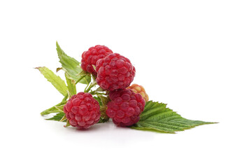 Red berries raspberries with leaves.
