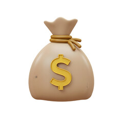 bag with money isolated on white