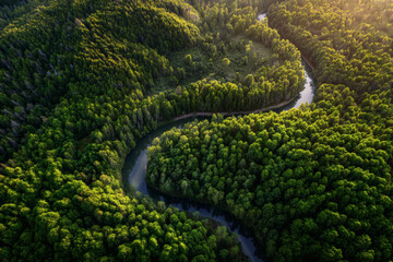 Fototapeta premium Río en medio del bosque con cielo luminoso y naturaleza exuberante