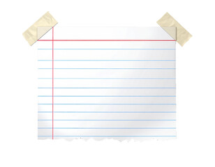 Clean, blank piece of lined notebook paper, similar to standard school paper, isolated.