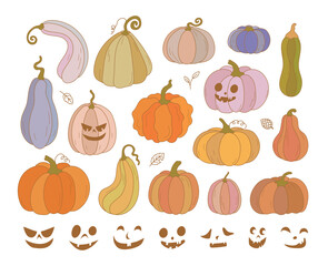a variety of Halloween pumpkins
